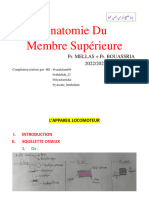 Anatomie Du Membre Supérieure