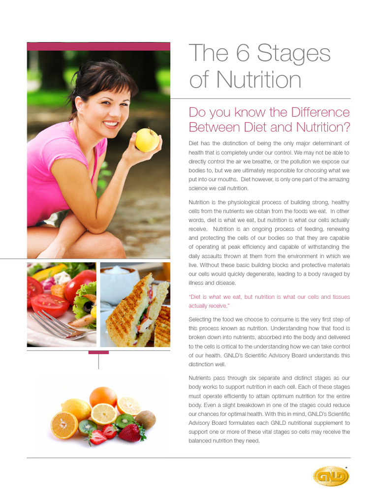 Understanding the 6 Stages of Nutrition | PDF | Digestion | Nutrition