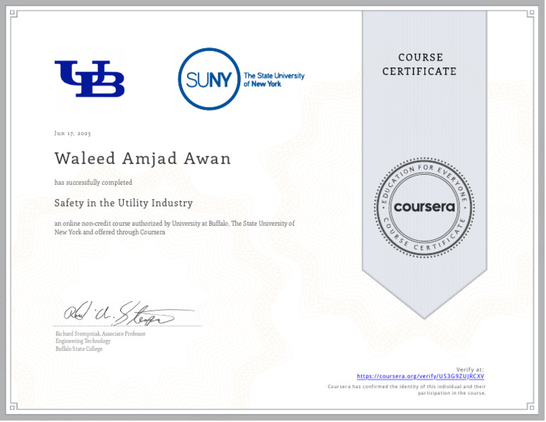 Safety in Utility Industry PDF