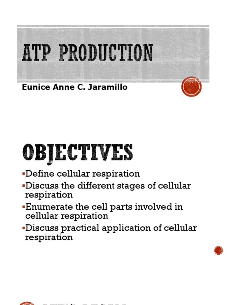 ATP Production Summary and Review PDF