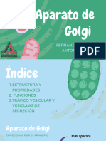 Aparato de Golgi