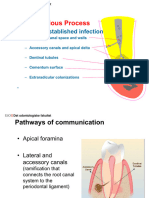 Endo-Perio 2023 Pias Del