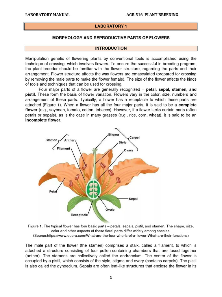 Agr 516 Laboratory Manual PDF Flowers Dominance