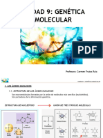 Unidad 9 - Genética Molecular 4 Eso