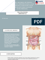 Traumatismo Abdominal