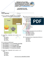 Actividad Ácidos Nucleicos