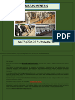 Mapas+Mentais+de+Nutrição+de+Ruminantes Mesclado