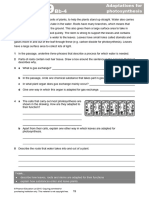 9Bb-4 Adapts For Photosyn