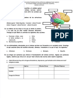 Actividad Sistema Nervioso 1