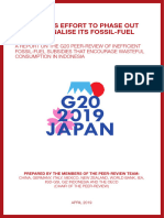G20 Peer Review Indonesia - Final-V2