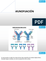 Clase 14 Inmunofijacion