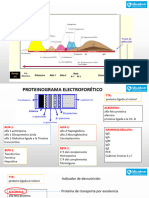 Clase 13 Fracciones Proteicas