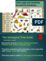 PP29. Geological Time Scale and Cambrian Explosion