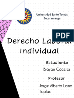 Apuntes Laboral Individual Parcial Segudo Corte