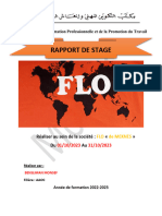 Rapport de Stage Flo Monsef