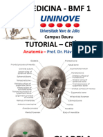 Tutorial Cranio