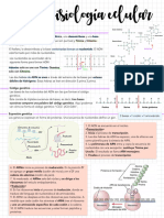 Guía Fisiología Celular 2022-09-19 23 - 28 - 46