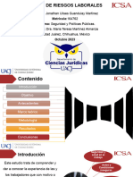 Presentacion de Tesis para Congreso