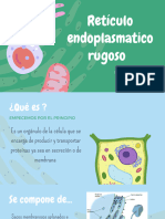 Retículo Endoplasmatico Rugoso