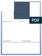 Informe de Lev Top Lote Ehynar