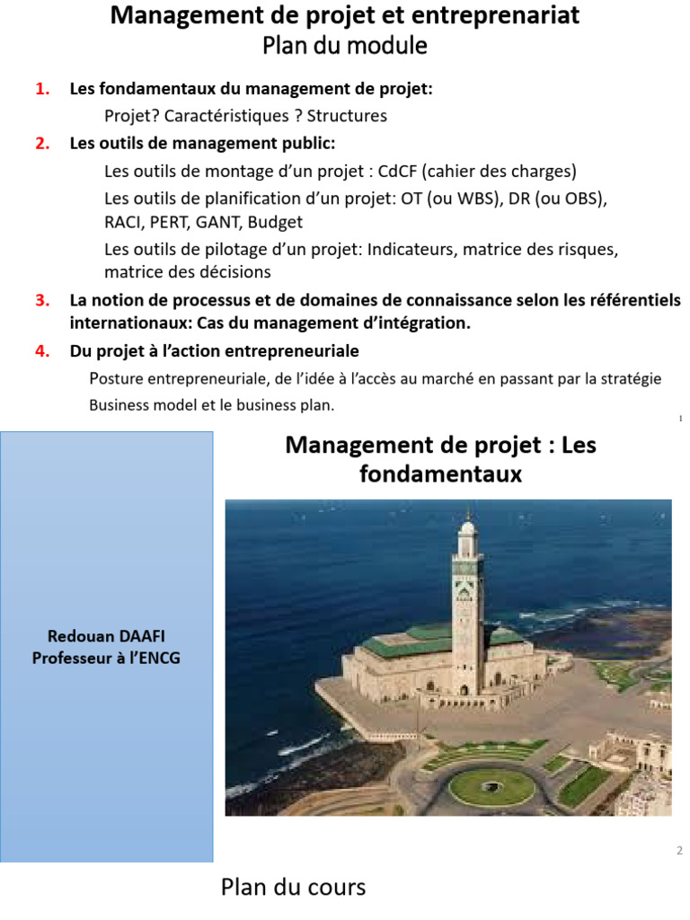 Management de Projet et Innovation | PDF | Gestion de projet | Business