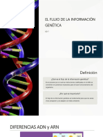 Ud-7 - La Información Genética