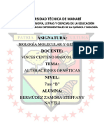 Organizador Gráfico