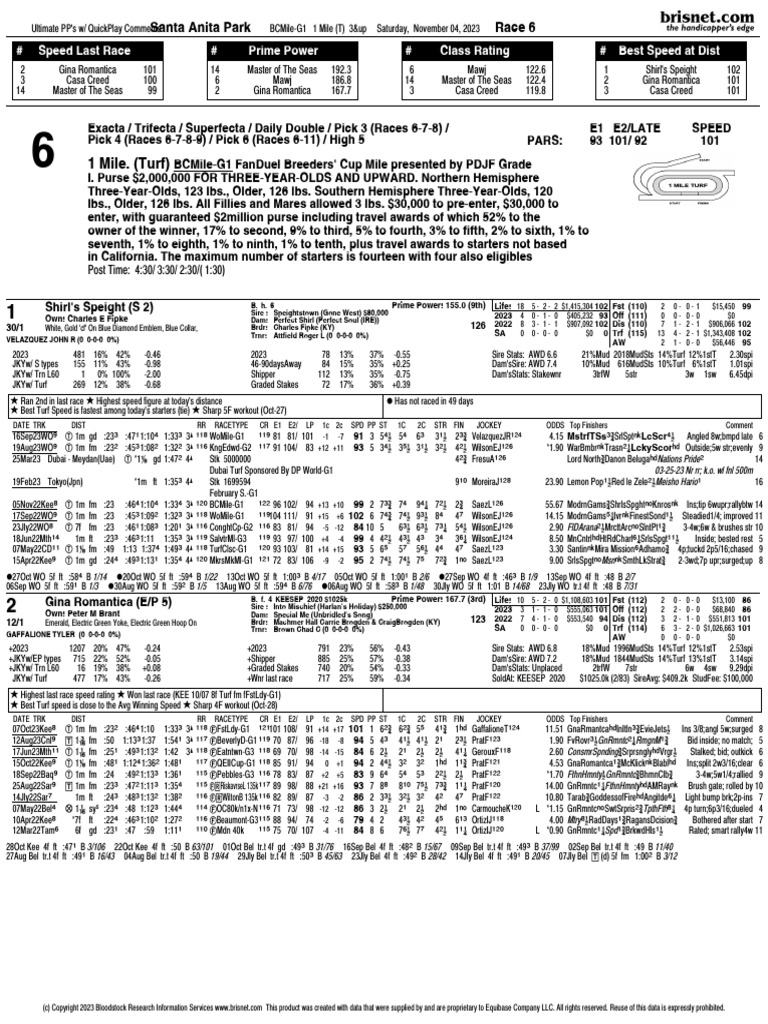 2023 Breeders Cup Mile PDF Racehorses Horse Racing