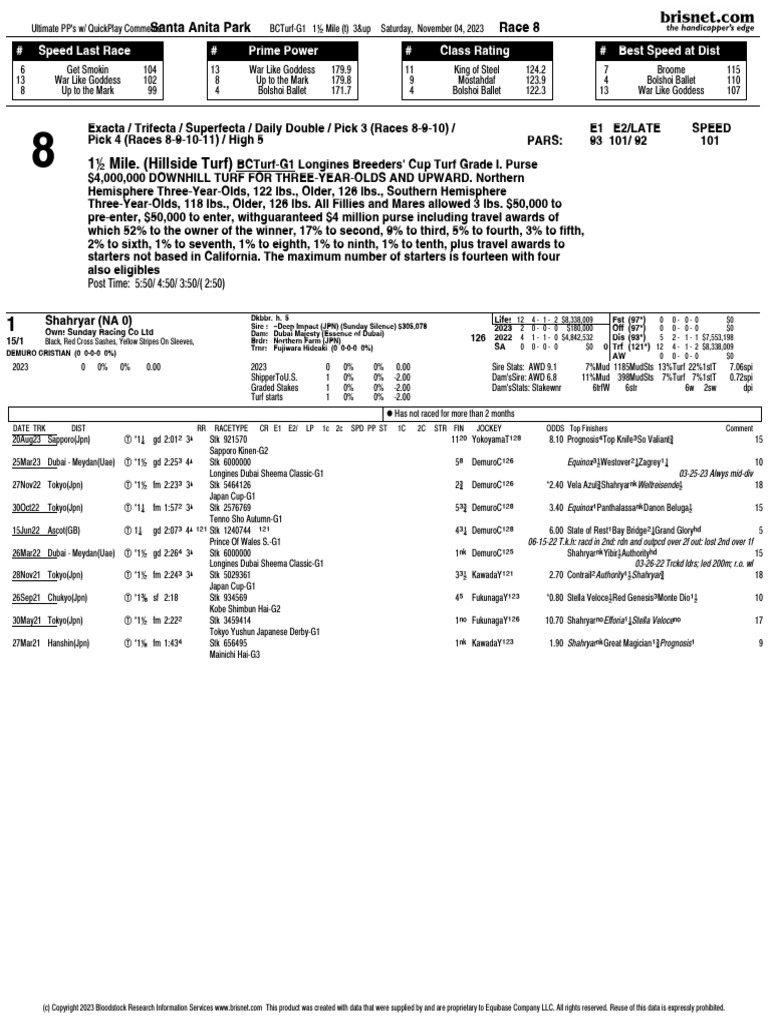 2023 Breeders Cup Turf PDF