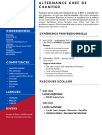 CV Cc-Vinci PDF