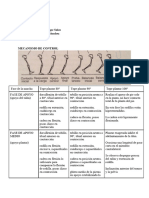 Tarea S9 Ayudas Biomecánicas