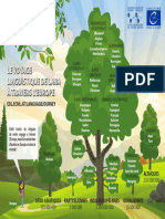 Language Tree FR