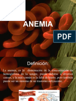 Exposicion de Anemia