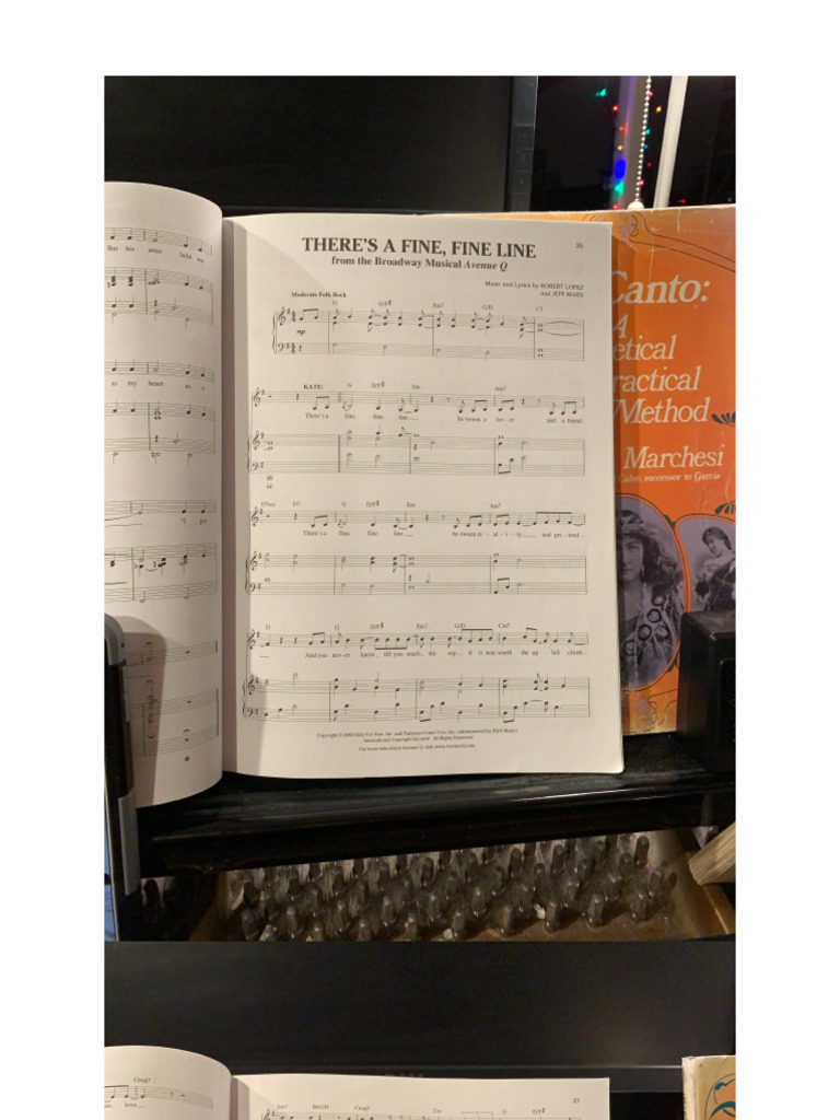 There's A Fine, Fine Line PDF