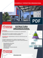 Desarrollo y Estructura Organizacional