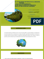 Legislacion Ambiental Diapositivas
