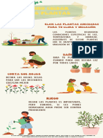 Infografía Como Cuidar Tus Plantas