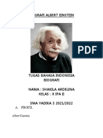 Biografi Einstein