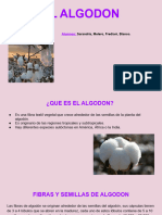 El Algodon