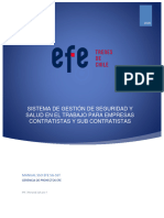 Manual Sso Efe (SG-SST) - V.0