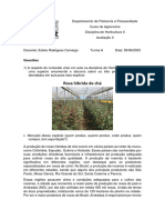 Avaliação II - Horticultura 2023 - Estela Rodrigues Camargo