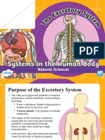 Za NST 1642930204 Systems in The Human Body Excretory System Powerpoint - Ver - 2