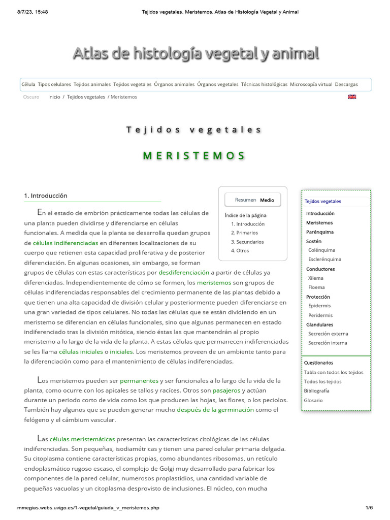 Tejidos Vegetales. Meristemos. Atlas de Histología Vegetal y Animal ...