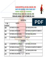 Modelo FIXTURE VOLEIBOL