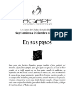 Lecciones de Célula Ciclo 3-2023 - Septiembre A Diciembre - en Sus Pasos