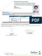 GERIZIM - Certificado de Aptitud Laboral - 18491302