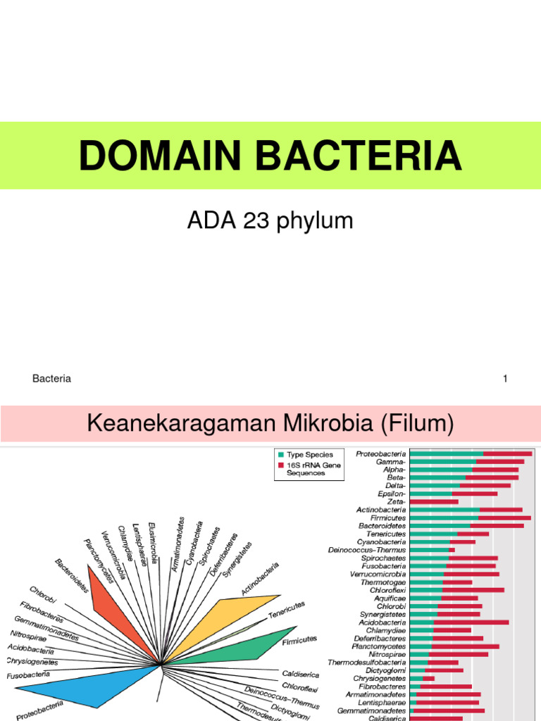 Klasifikasi 23 Filum Bakteri | PDF | Griya & Taman | Kesehatan Holistik