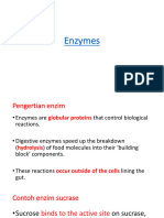 Kuliah II - Digestive Enzymes
