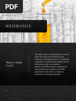 SulfurCycle Dungay