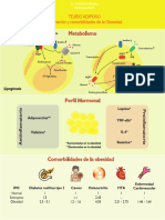 Fase 3. Tejido Adiposo e Inflamación